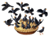 black bird pie.png